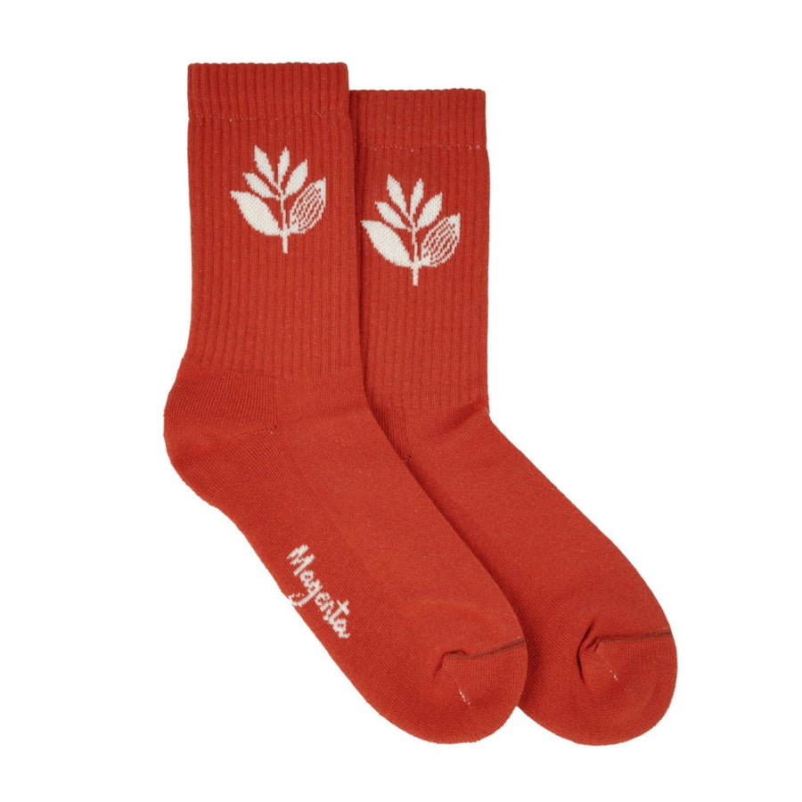 PLANT SOCKS